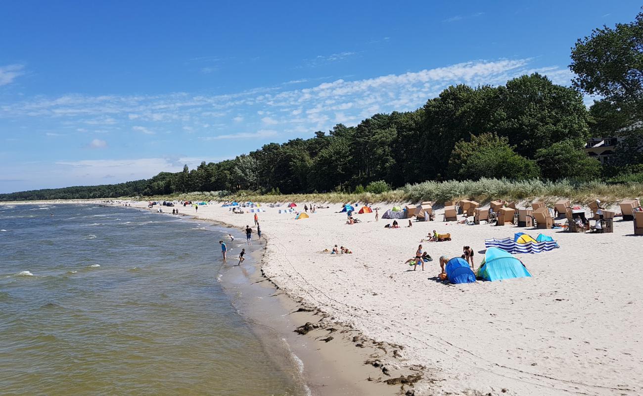 Foto af Lubmin Strand med lys sand overflade