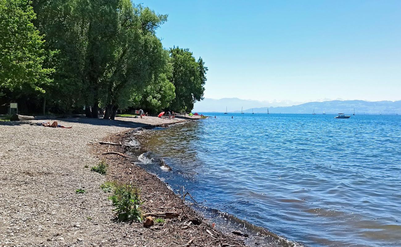 Foto af Malerecke Strand med grå sten overflade