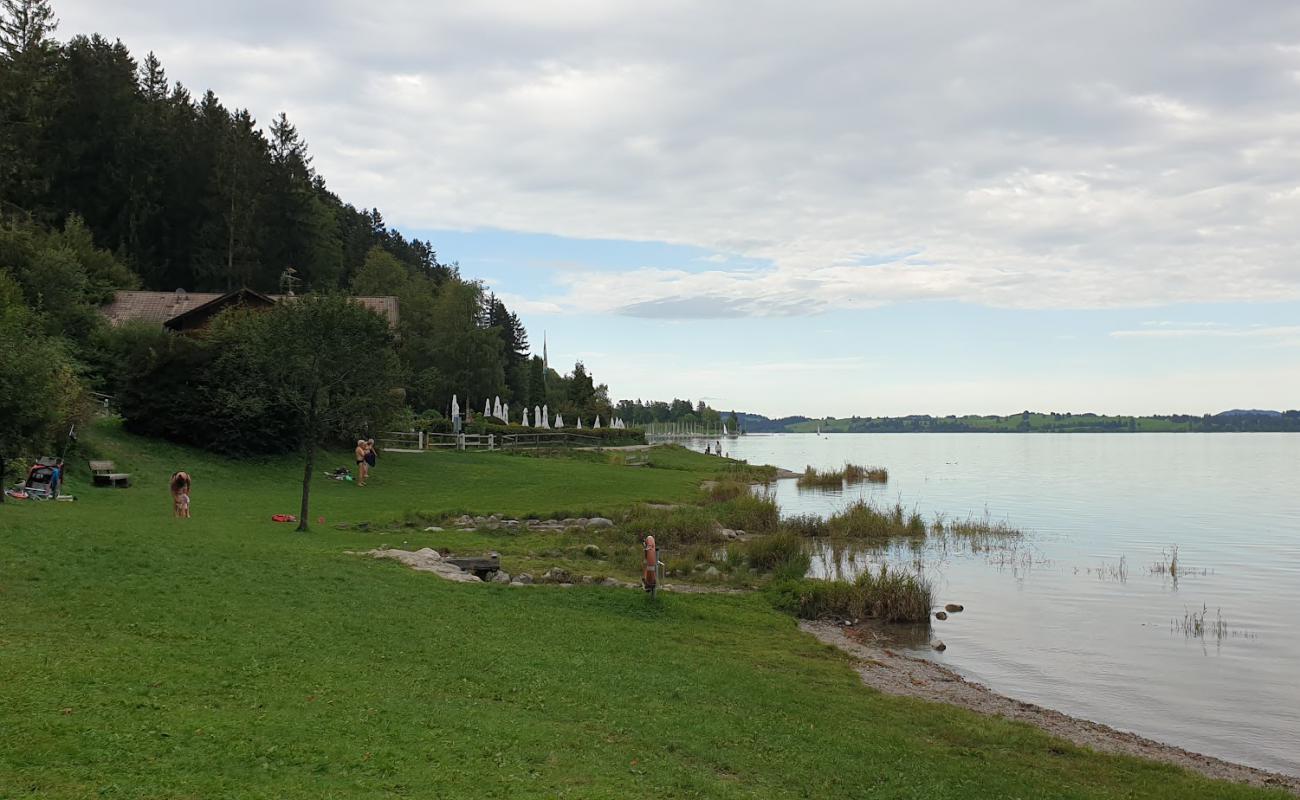 Foto af Familienbad Forggensee med græs overflade