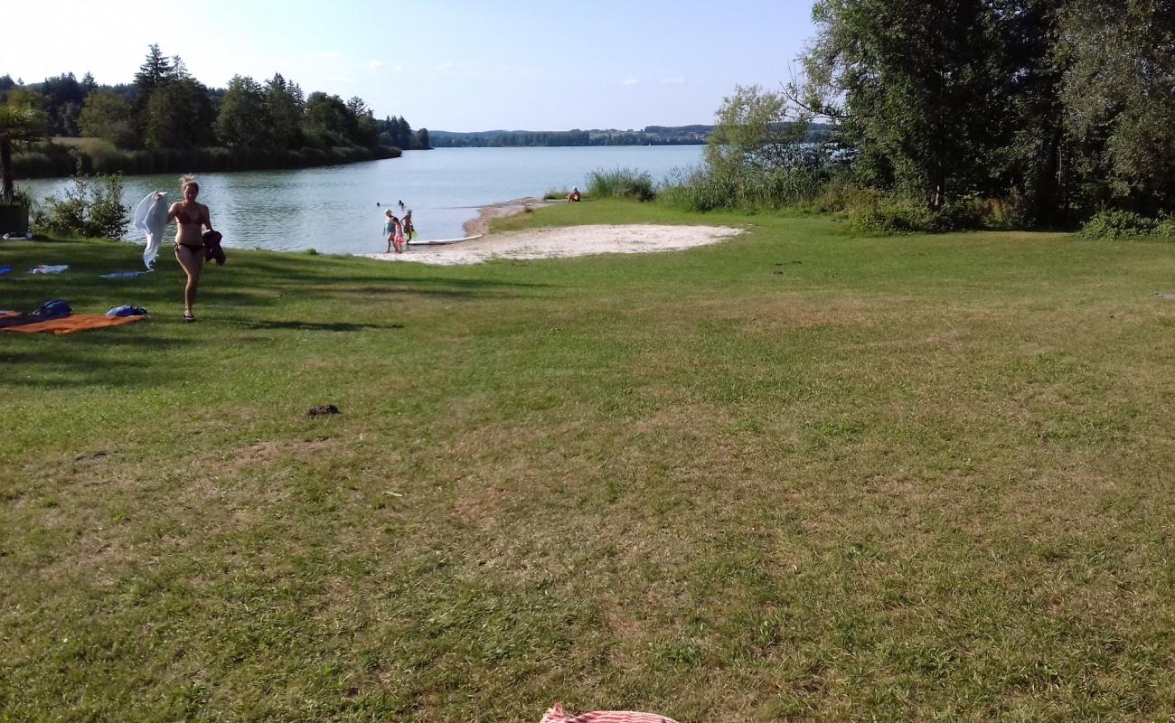 Foto af Hundestrand Salzachinsel med græs overflade