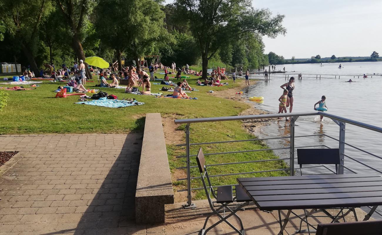 Foto af Grashof Fam. Haubner strand med græs overflade