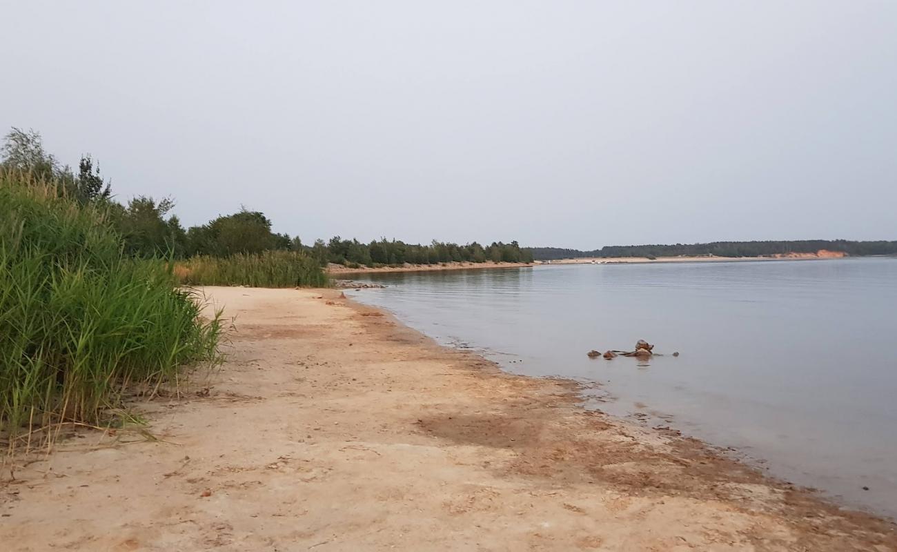 Foto af Hundestrand Barwalder See med lys sand overflade