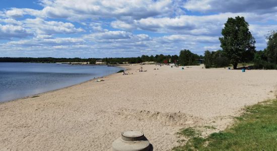 Cospudener See Beach