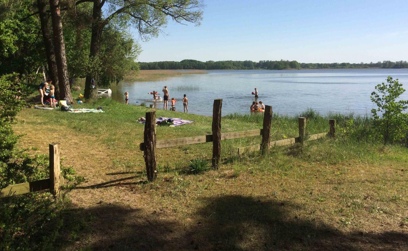 Foto af Feriendorf Dobbiner Strand med græs overflade