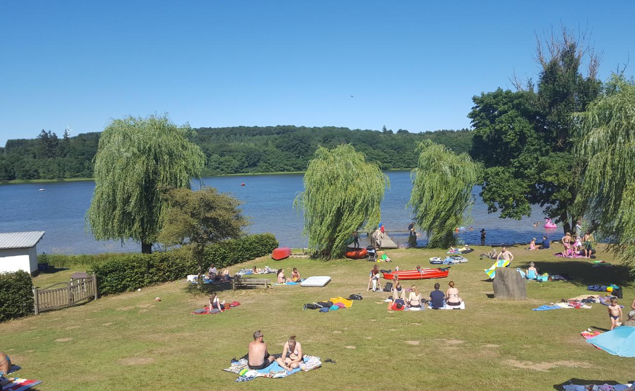 Foto af Wied Beach med græs overflade