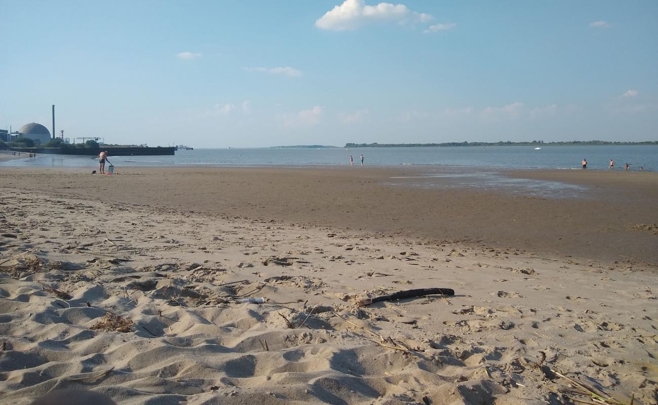 Foto af Bassenfleth Elbstrand med lys sand overflade