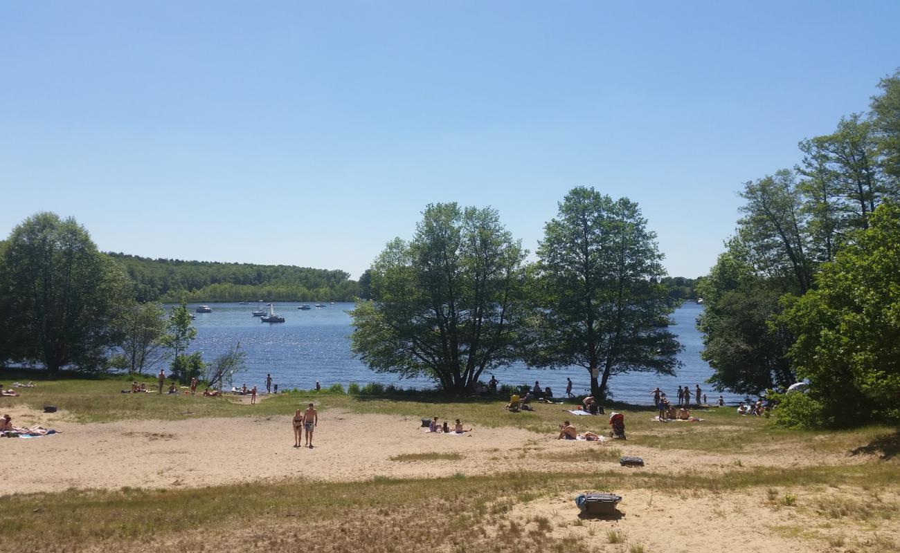 Foto af Weisser Strand Flakensee med lys sand overflade