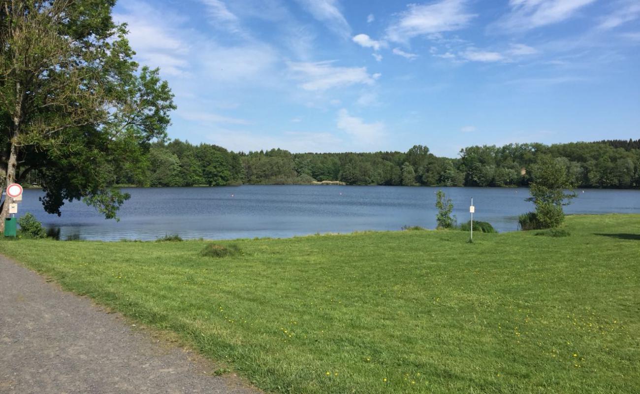 Foto af Weiherhof Strand med græs overflade