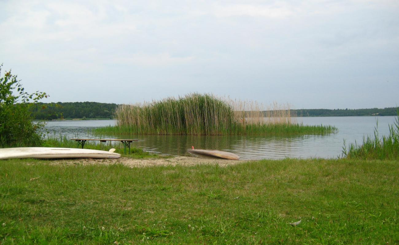 Foto af Strand Haselbacher See med lys sand overflade