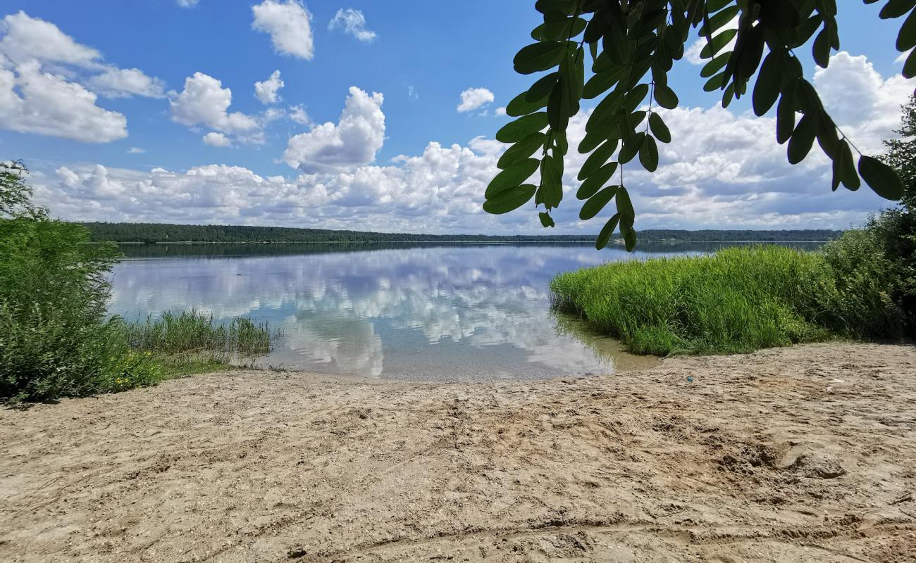 Foto af Hasselbacher See Strand med lys sand overflade