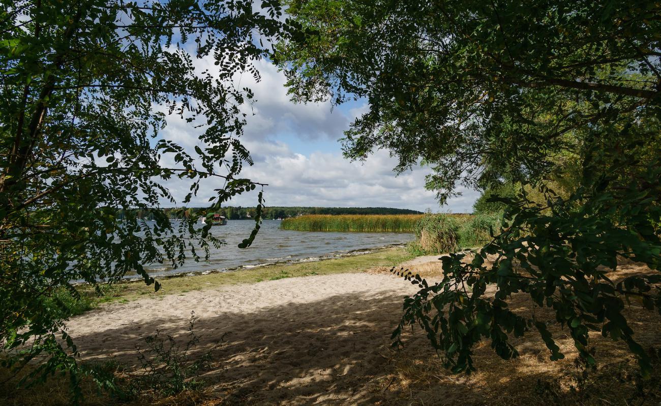 Foto af FKK Strand am "Pennerstrand" med lys sand overflade