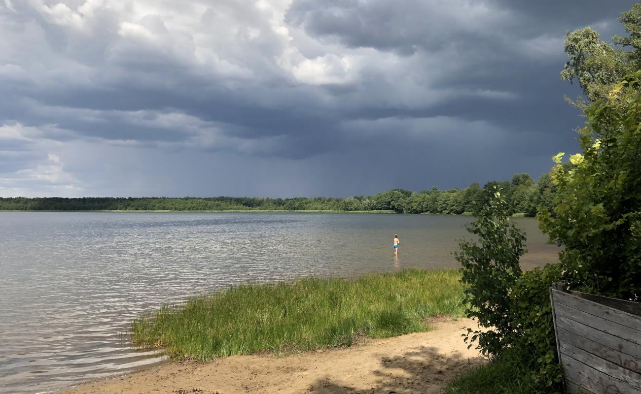 Foto af Badestrand Patzer Vordersee med lys sand overflade