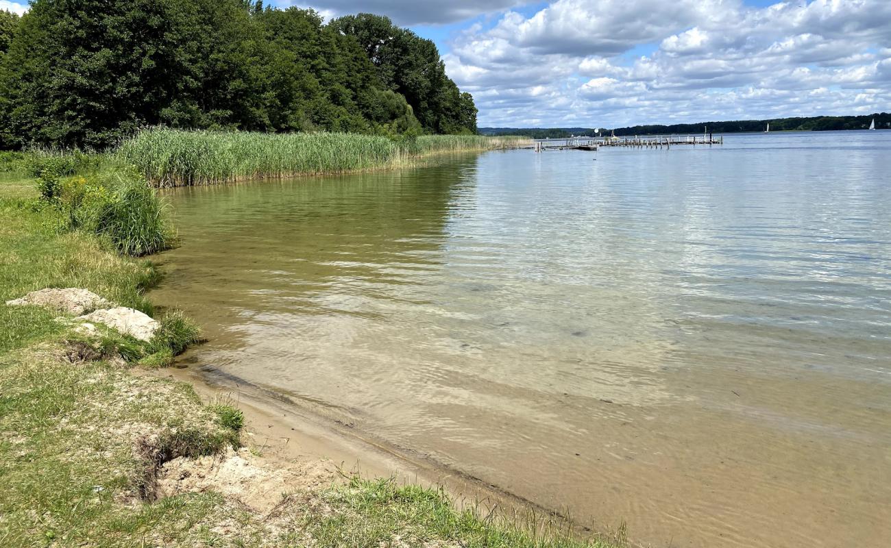 Foto af Strandbad Neptun med græs overflade