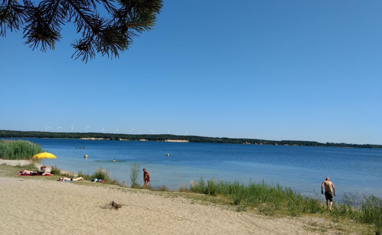 Foto af Badestrand Scheibe-See med lys sand overflade