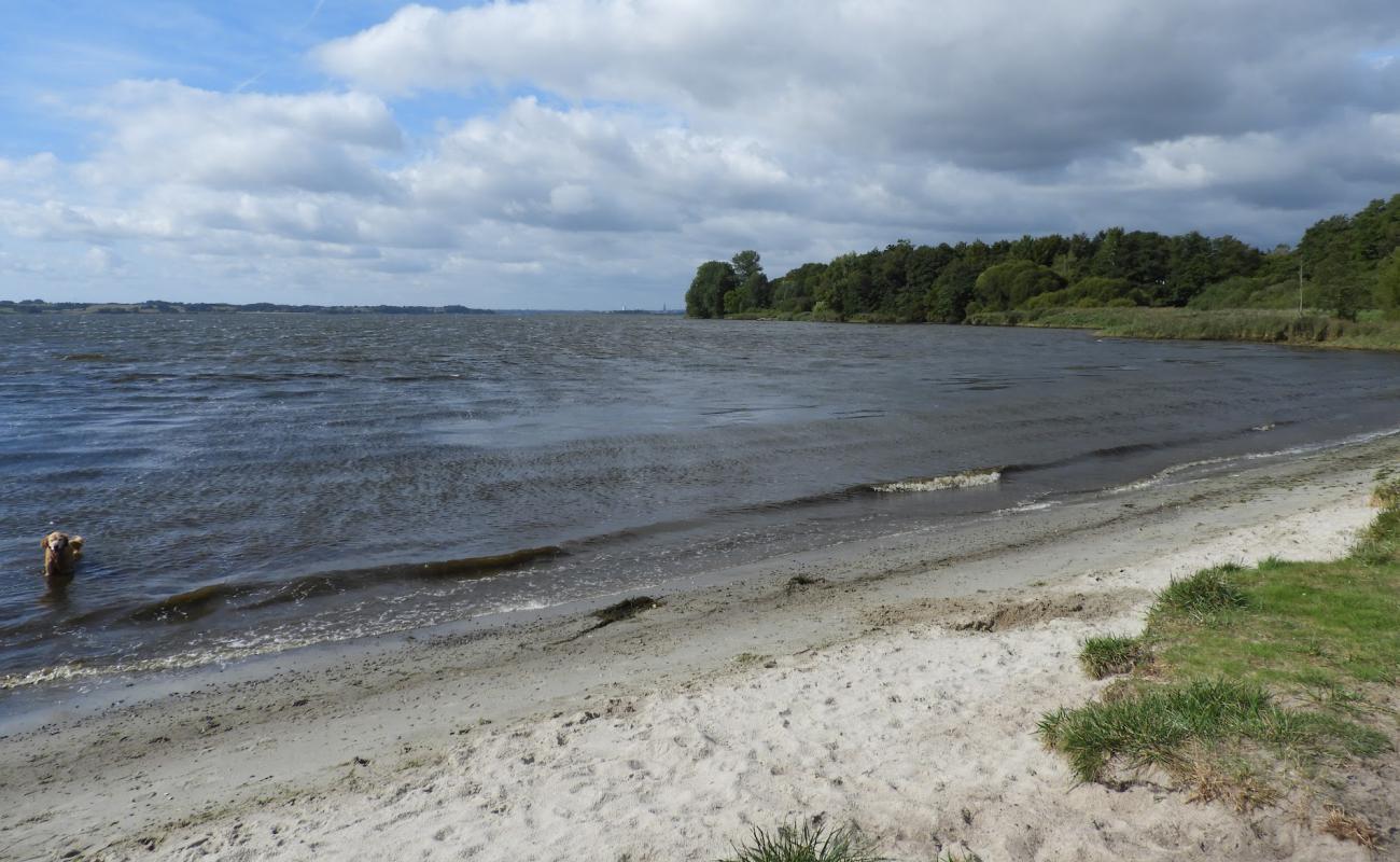 Foto af Hundestrand Klein Westerland med græs overflade