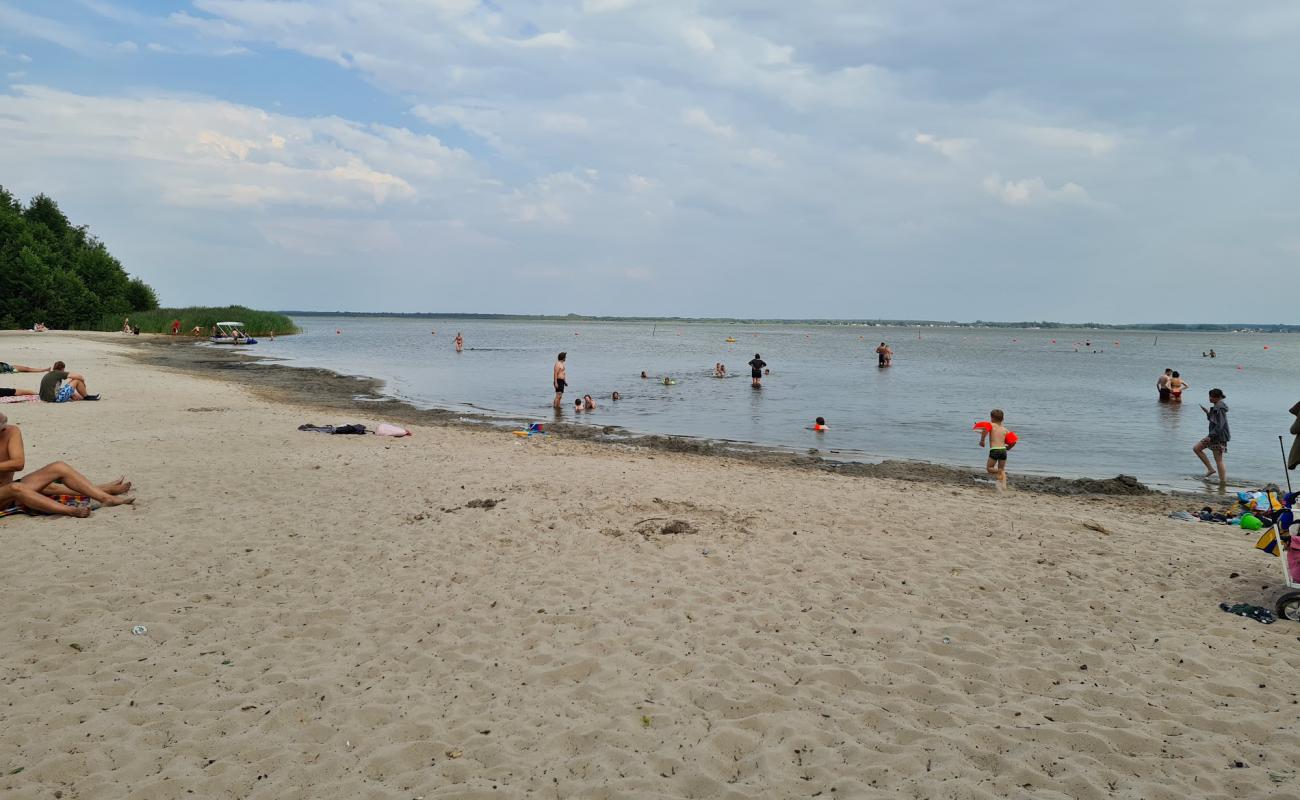 Foto af Badestrand Steinhuder Meer Nordufer med lys sand overflade