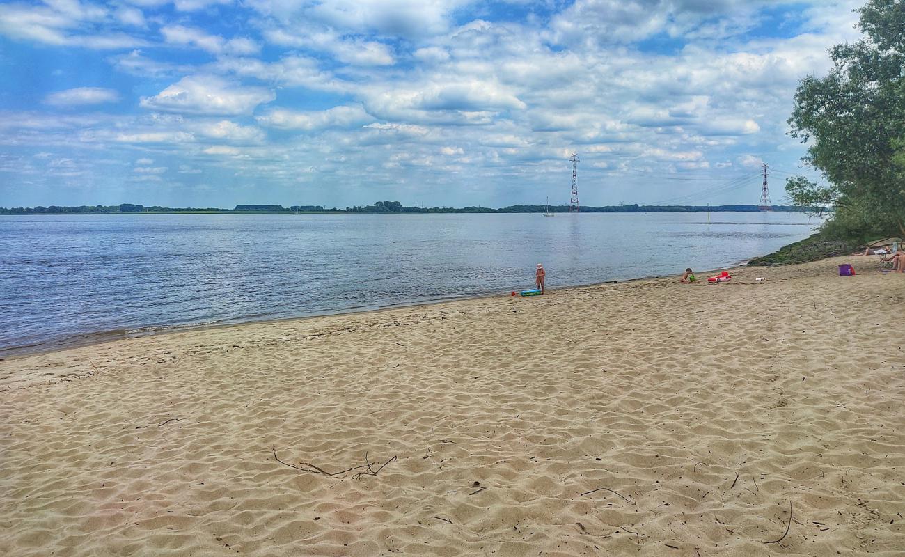 Foto af Bassenfleth strand med lys sand overflade