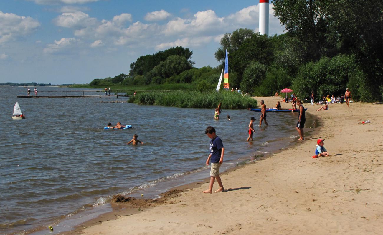 Foto af Kollmar strand med lys sand overflade