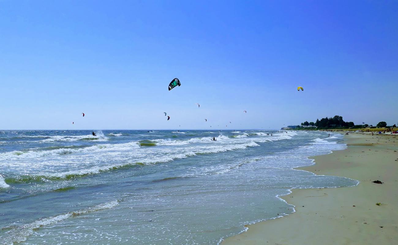 Foto af Skovmose strand med lys sand overflade