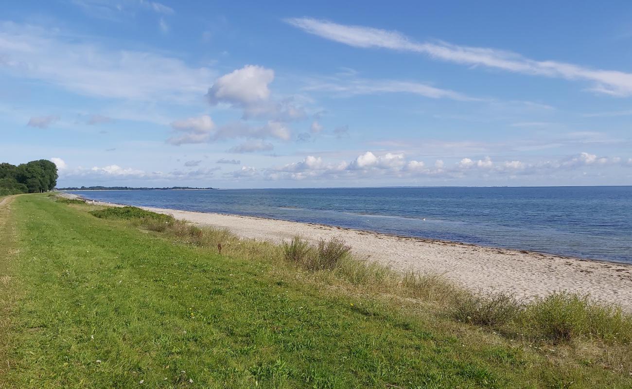 Foto af Maasholm strand med lys sand overflade