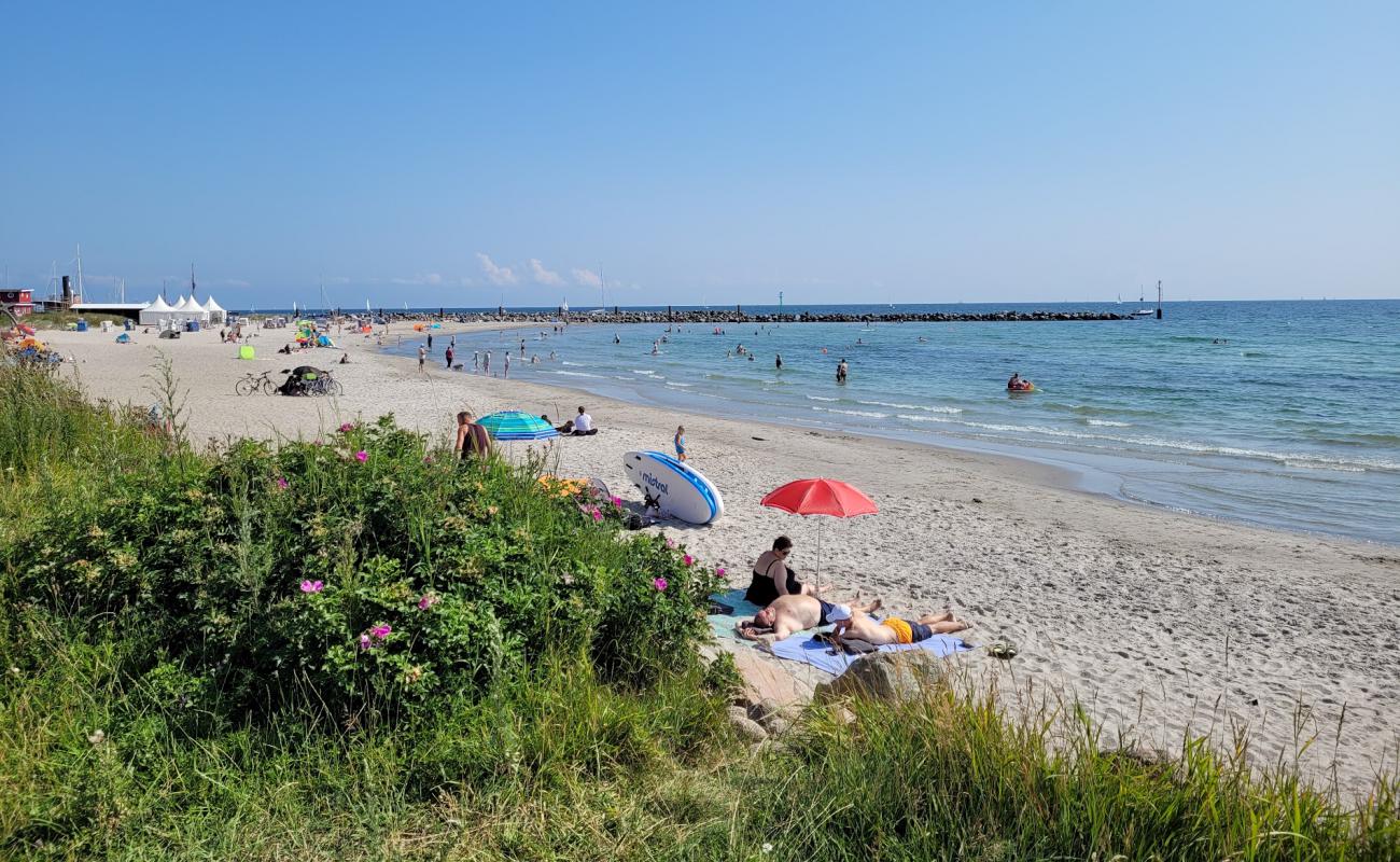 Foto af Damp strand med lys sand overflade