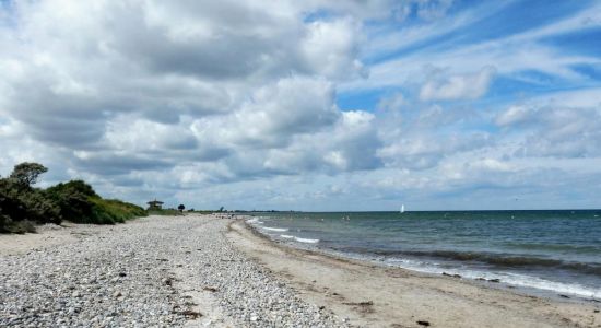 Hohenfelde strand