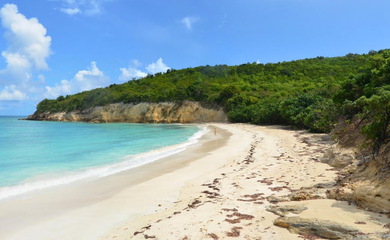 Foto af Bush Bay beach med lys fint sand overflade