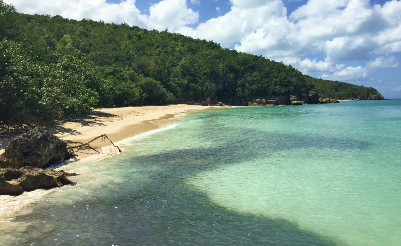 Foto af Blue Waters beach med lys fint sand overflade