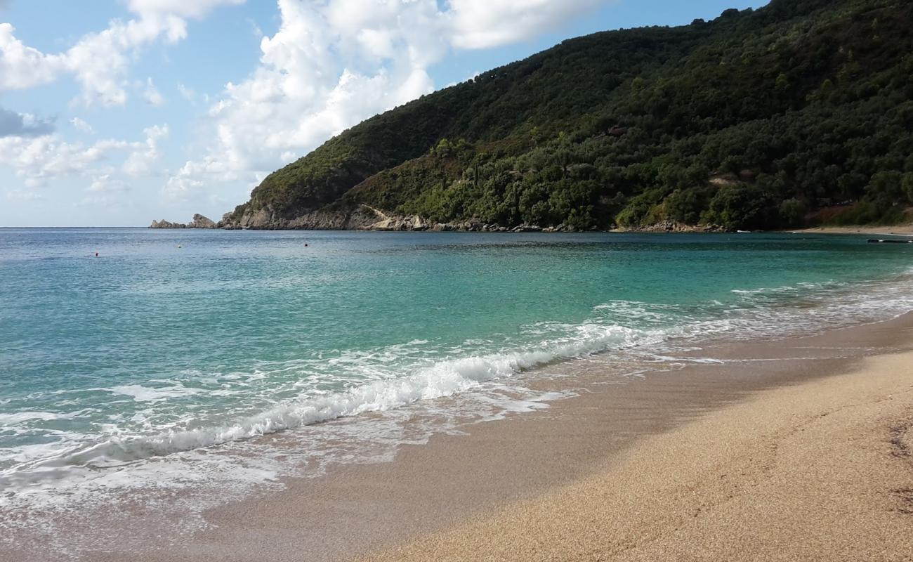 Foto af Lichnos beach med lys skaldesand overflade