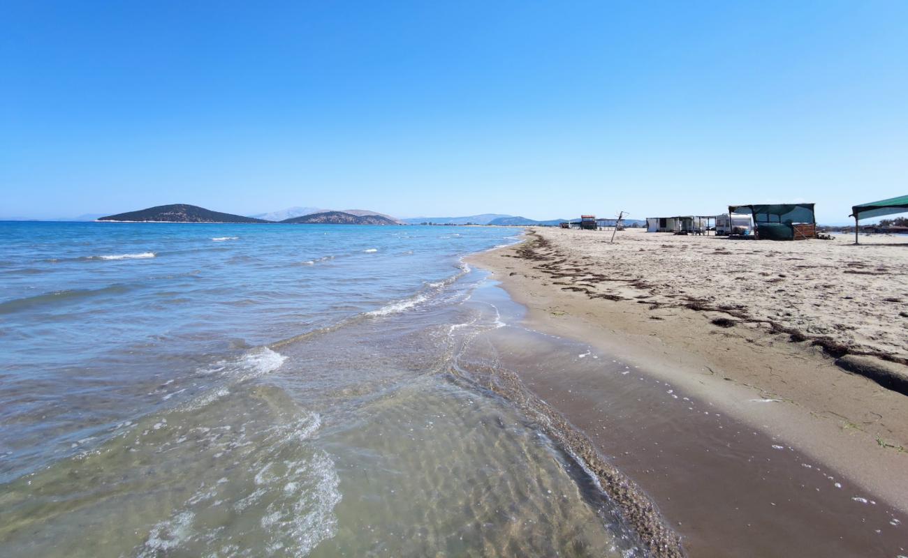 Foto af Dion beach med brunt sand overflade