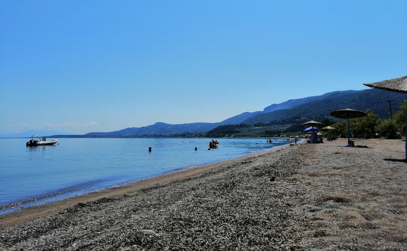 Foto af Loggos beach med brun sten overflade