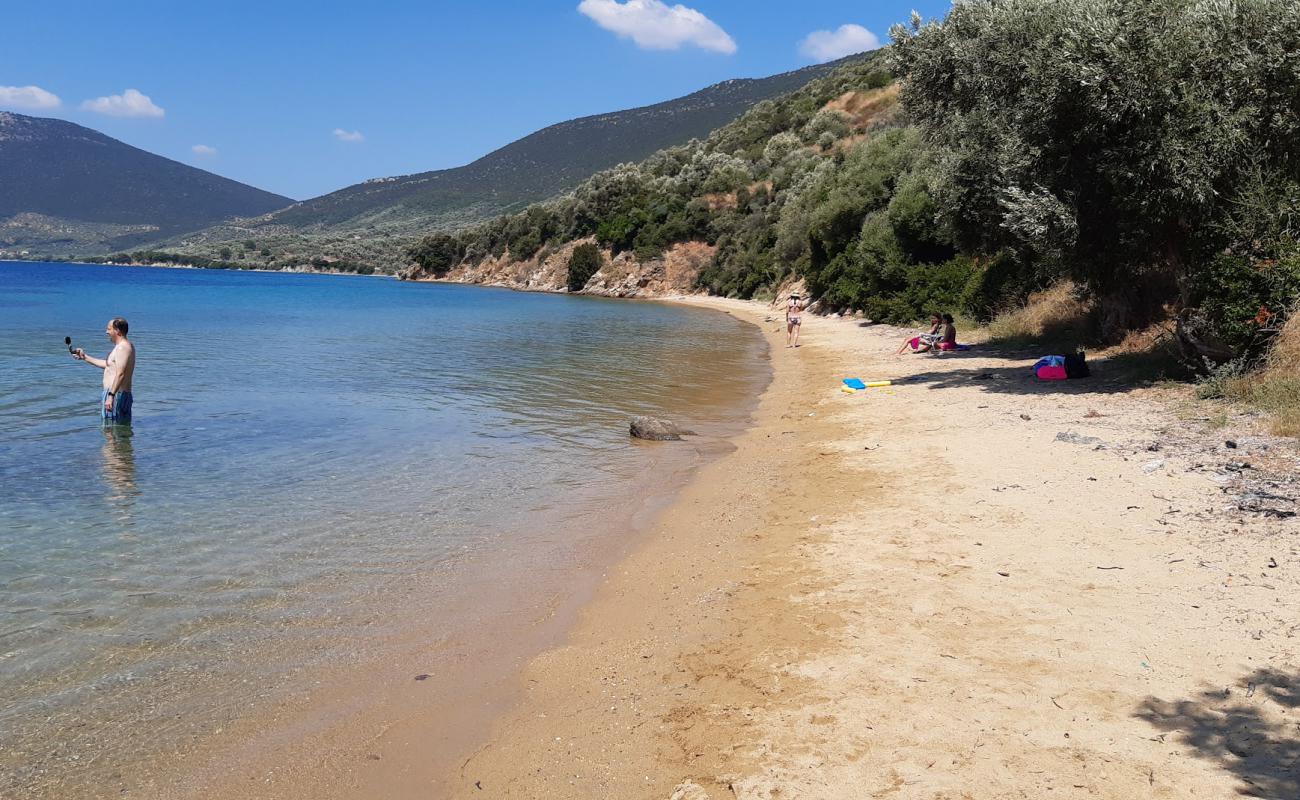 Foto af Ag. Dimitrios 3 beach med lys sand overflade