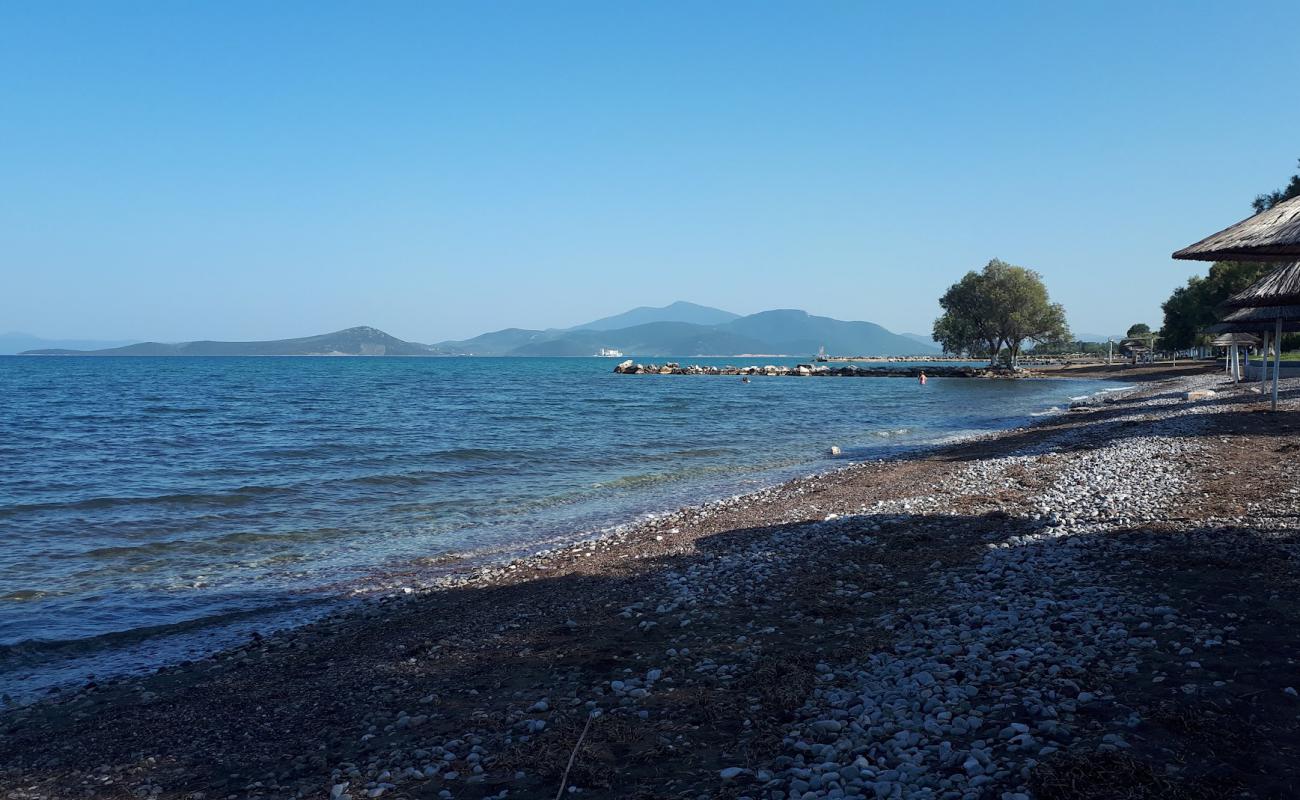 Foto af Almirou beach med brun sten overflade