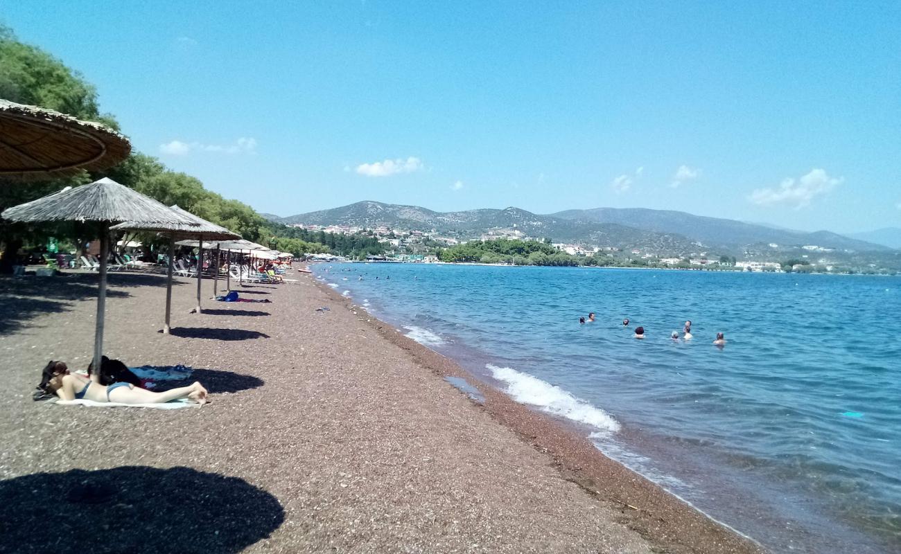 Foto af Neas Achialou beach med brunt sand overflade