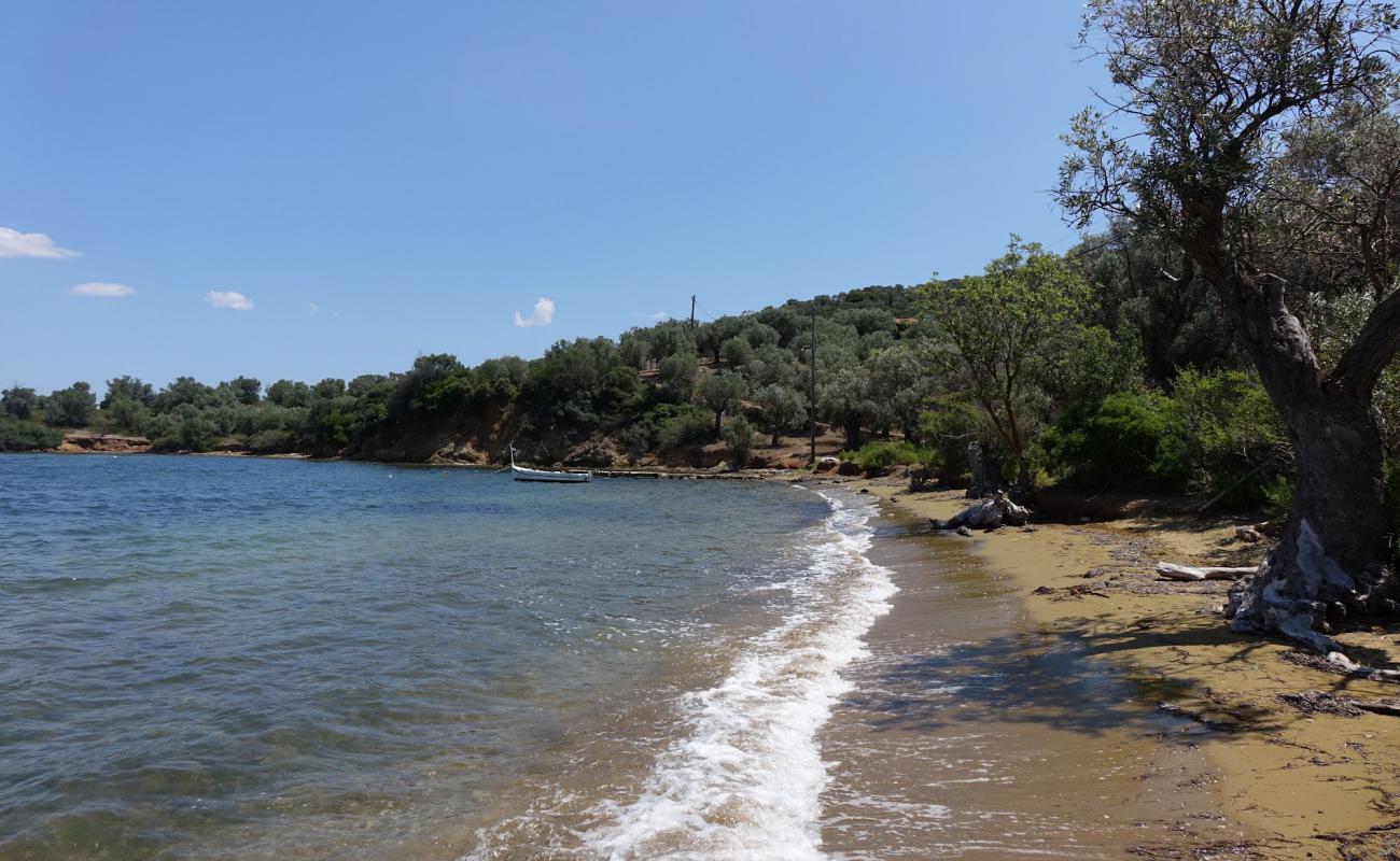 Foto af Agios Georgios Trikeri med sort sand og småsten overflade