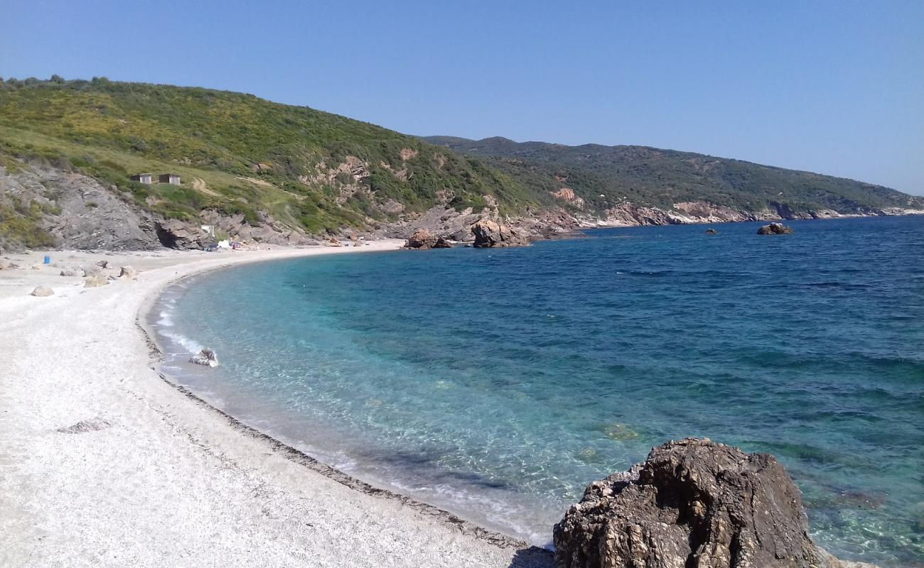 Foto af Commode beach med let fin sten overflade