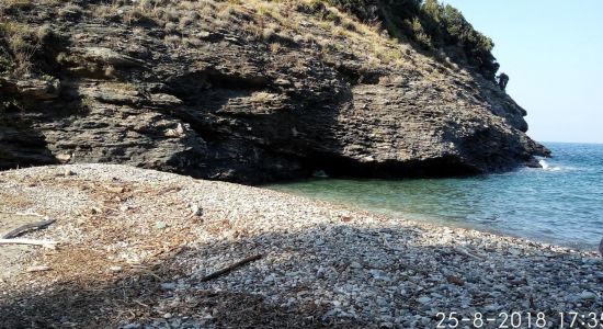 Placa wild beach