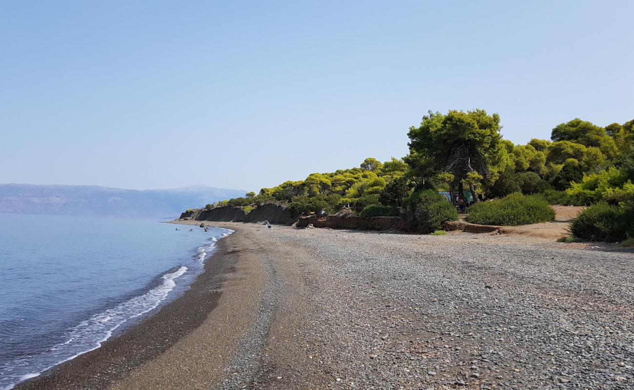 Foto af Almyra beach med grå fin sten overflade