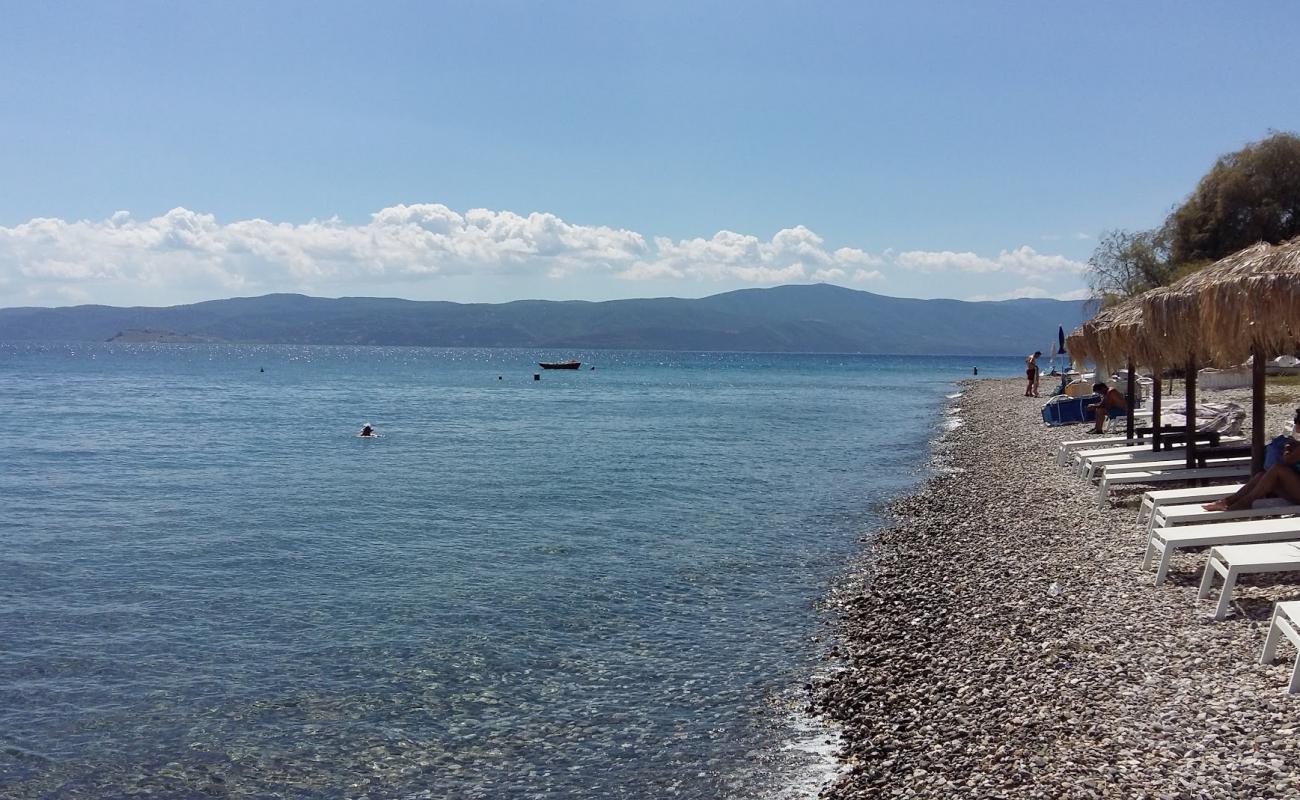 Foto af Agioi Theodoroi beach med grå fin sten overflade