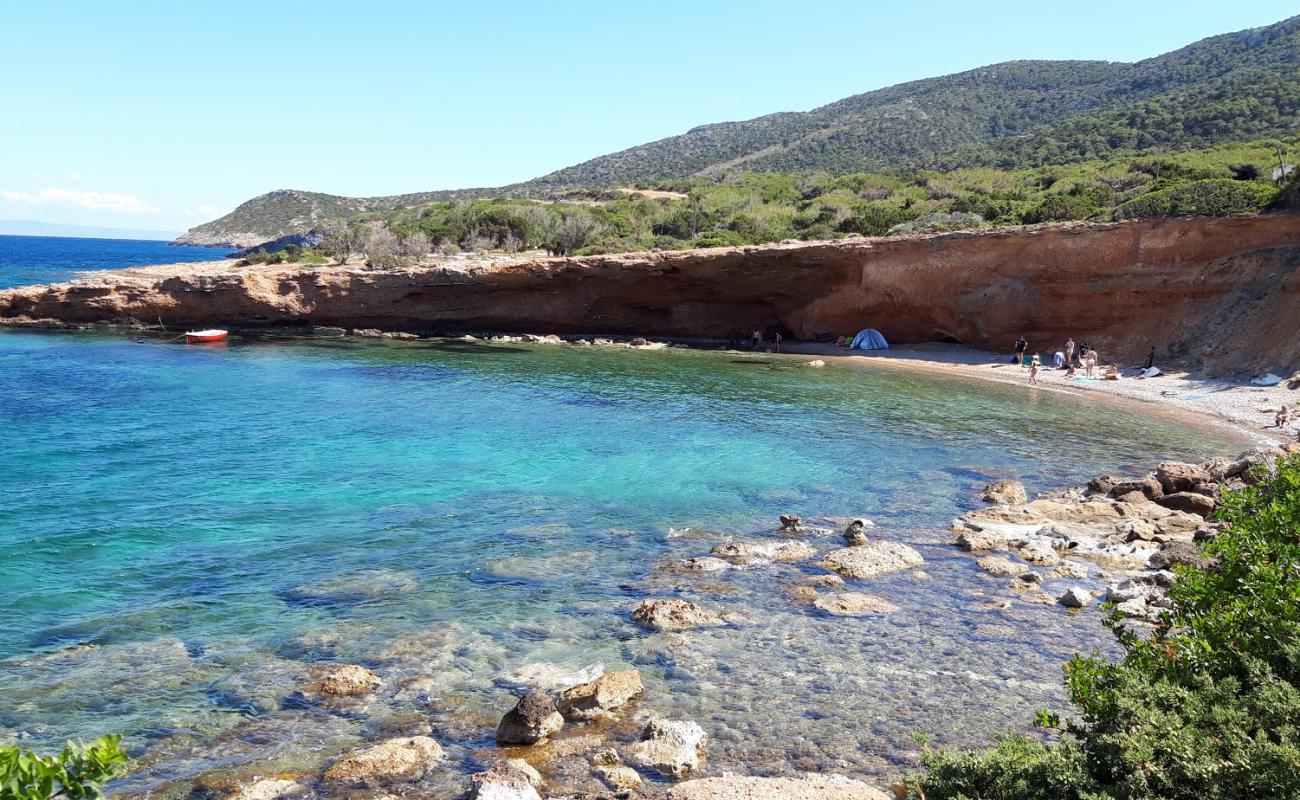 Foto af Paralia Chamolia med brun fin sten overflade