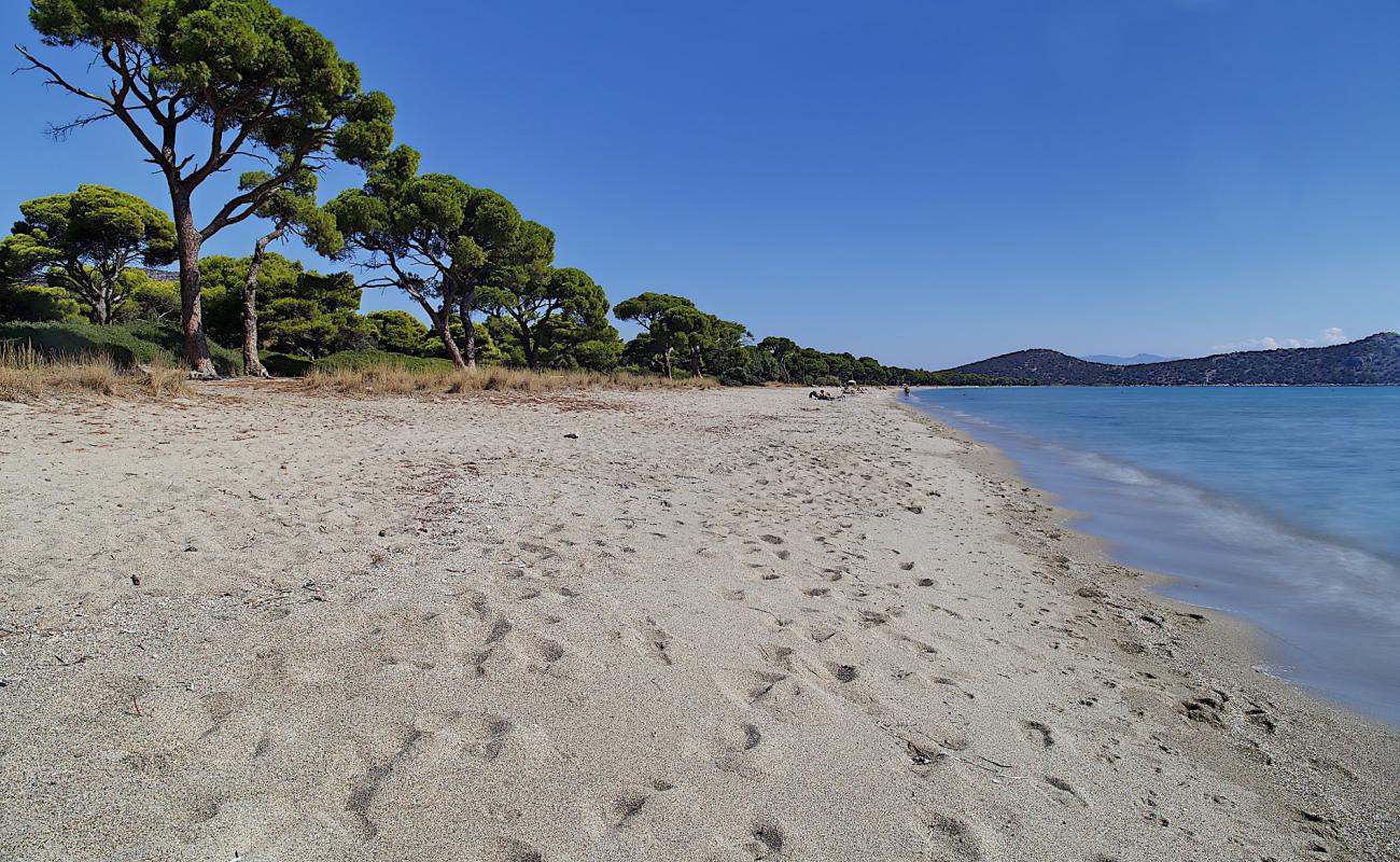 Foto af Schinias Strand med lys sand overflade