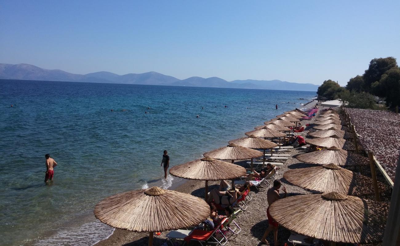 Foto af Barnabas beach med sort sand og småsten overflade