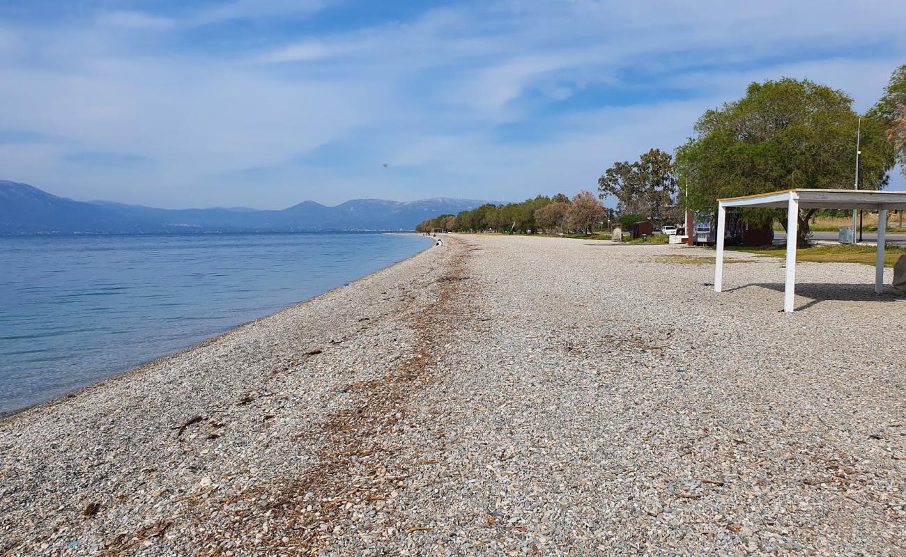 Foto af Paralia Markopoulou II med let sten overflade