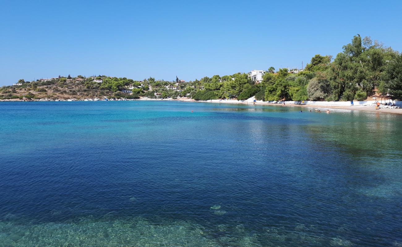 Foto af Iliakti Salamis Beach med let sand og småsten overflade