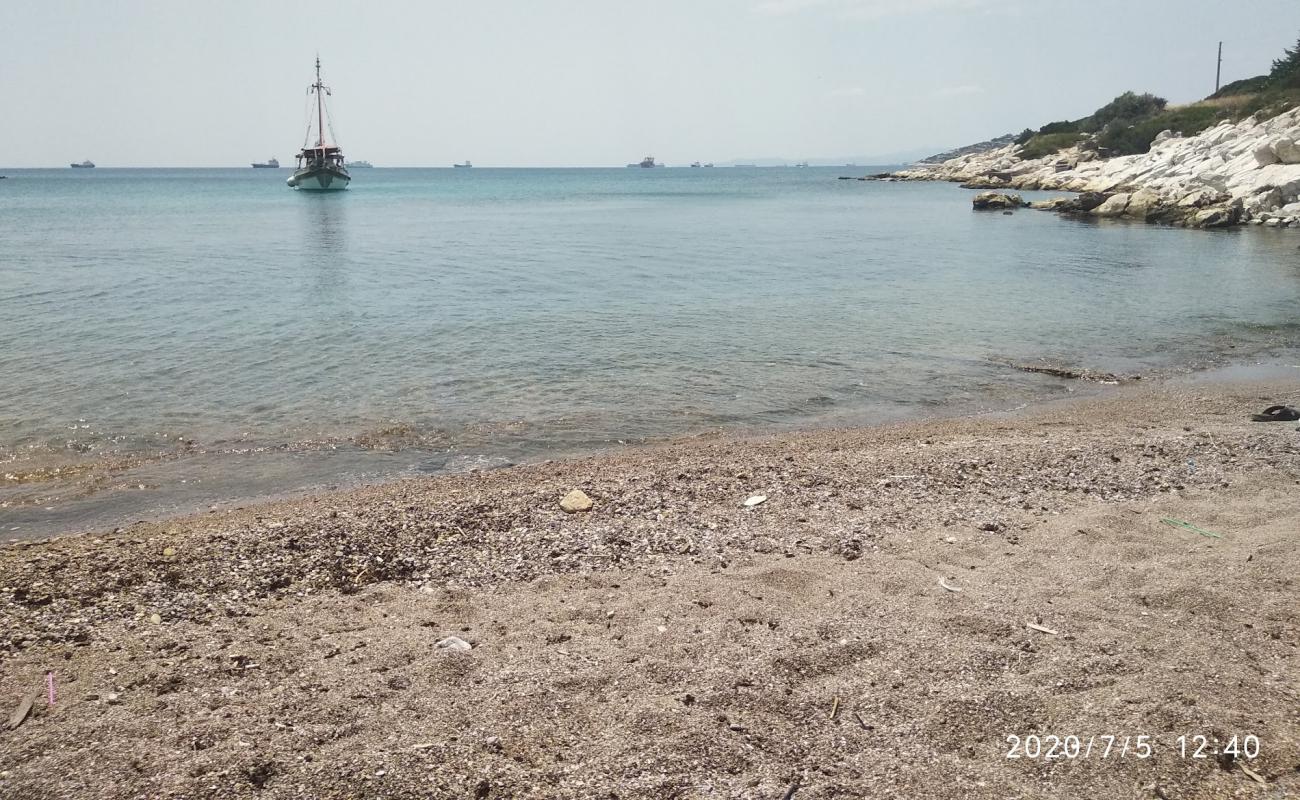 Foto af Paralia Kynosouras med sort sand og småsten overflade