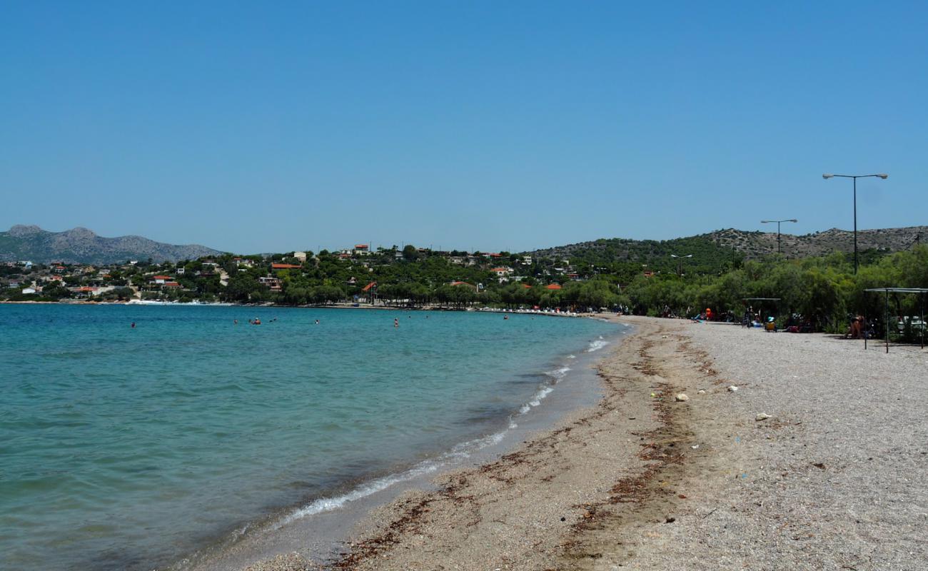 Foto af Paralia Vasilika med let fin sten overflade