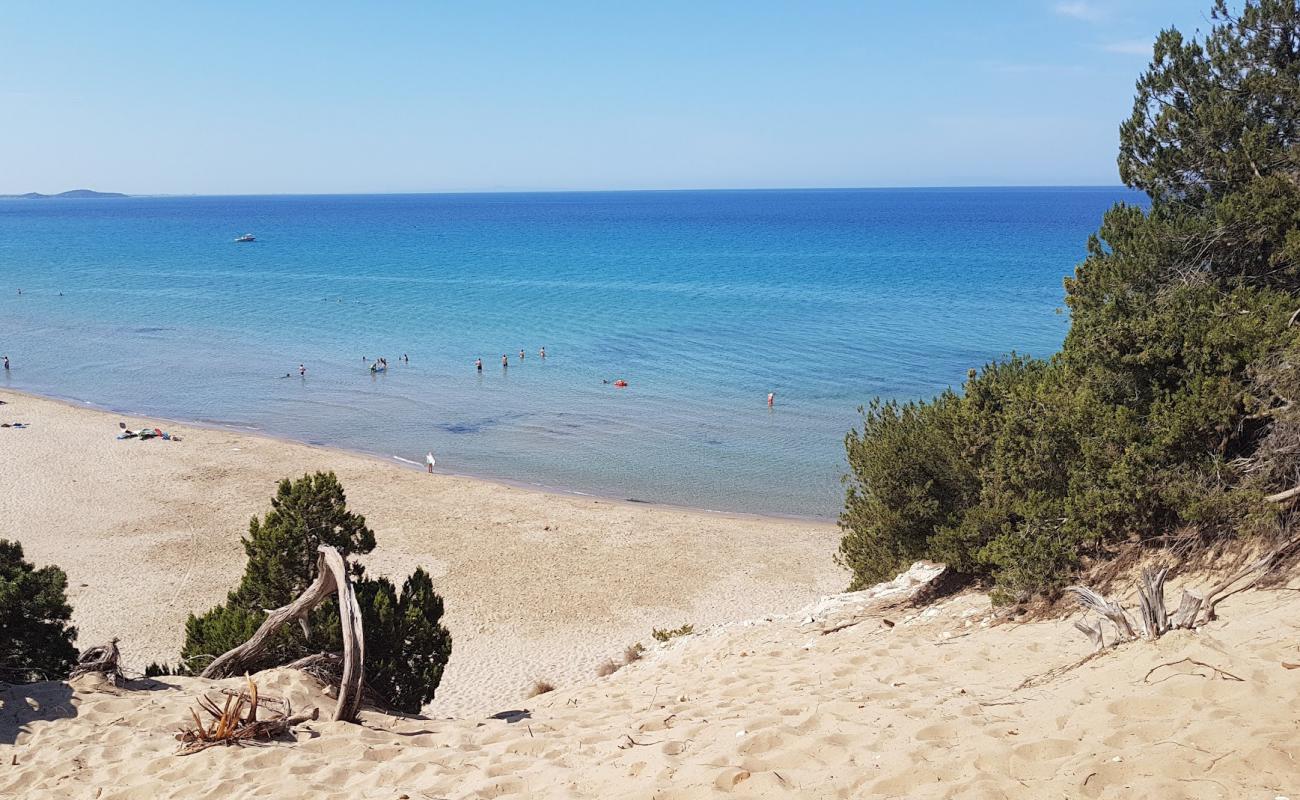 Foto af Paralia Gymniston med lys fint sand overflade