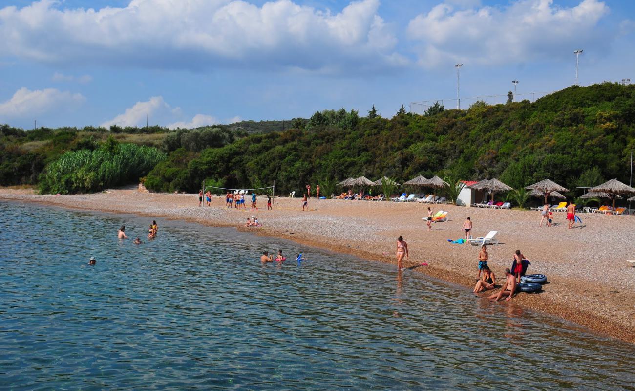 Foto af Sunrise village beach med grå fin sten overflade