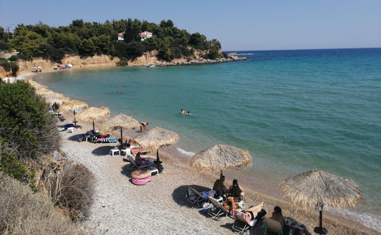 Foto af Chrysi Akti beach med let fin sten overflade