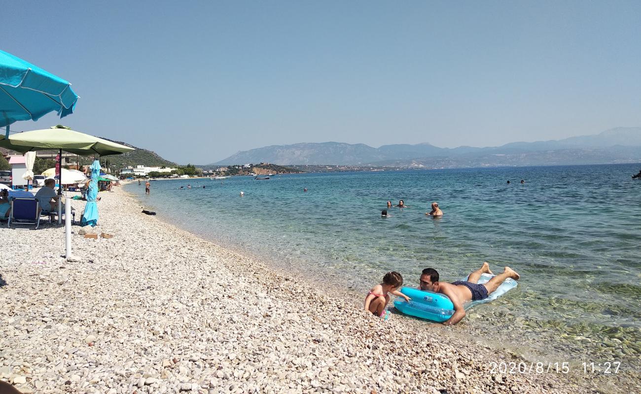 Foto af Paralia Almiris med let fin sten overflade